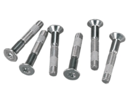 Tornillos Axle-plate Torx Rohloff (6 pcs.)